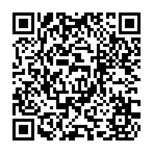 QR code for TIN393