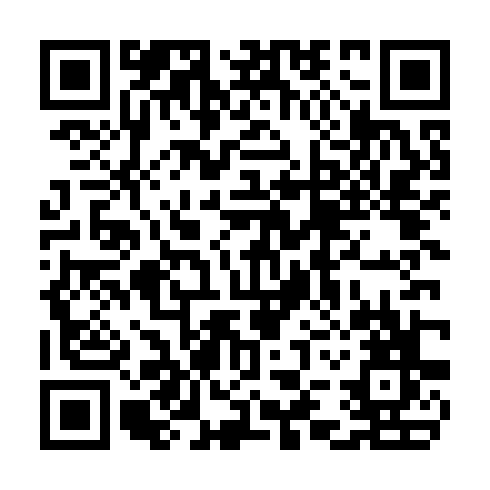 QR code for TIN533