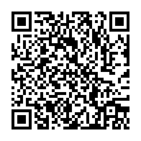 QR code for TIR 486
