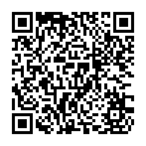 QR code for TIR 497