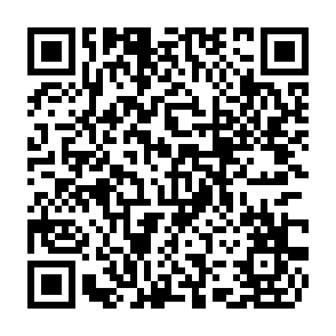QR code for TIR 599