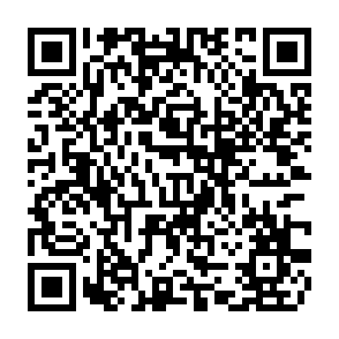 QR code for TIR 919
