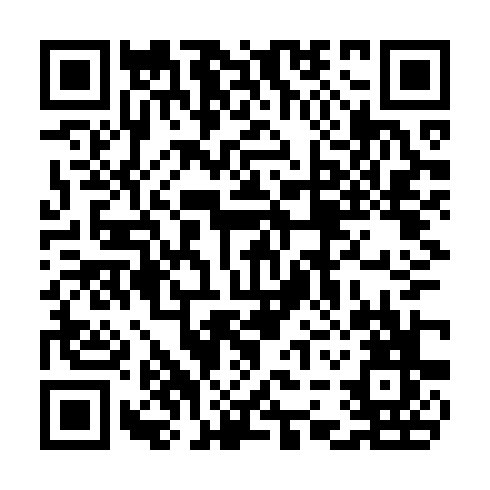 QR code for TIY 376