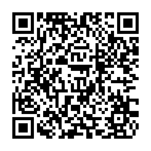 QR code for TIZ 381