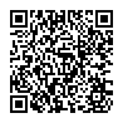 QR code for TIZ 595