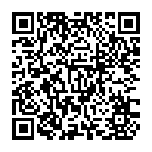 QR code for plate TIZ 663