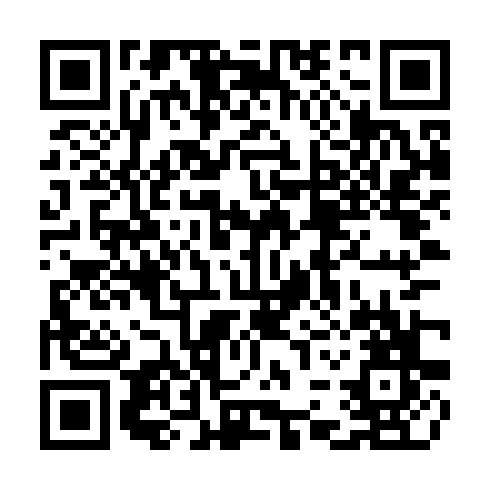 QR code for plate TIZ 941