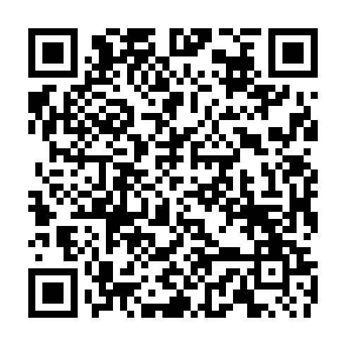 QR code for plate TJS 385