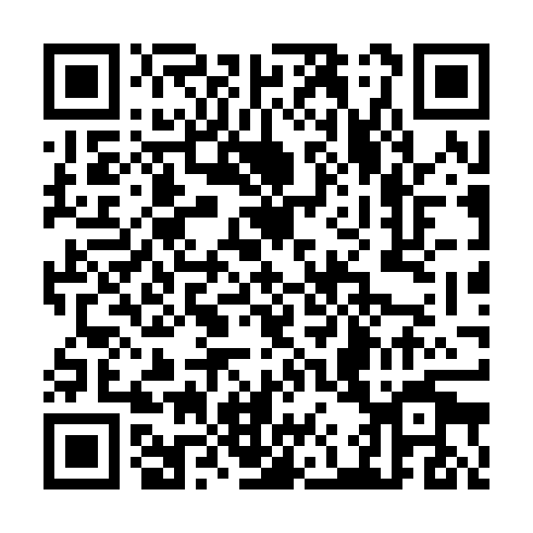 QR code for plate TKZ 302