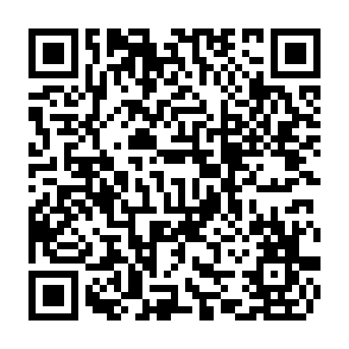QR code for plate TLC 499