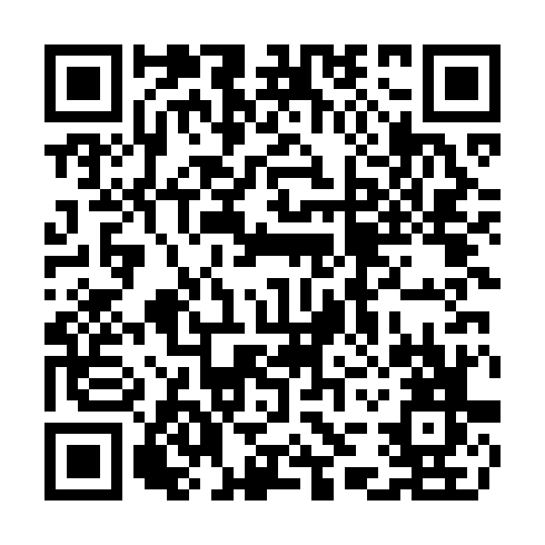QR code for TLE 513