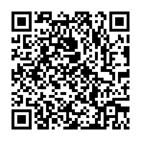 QR code for TLE 943