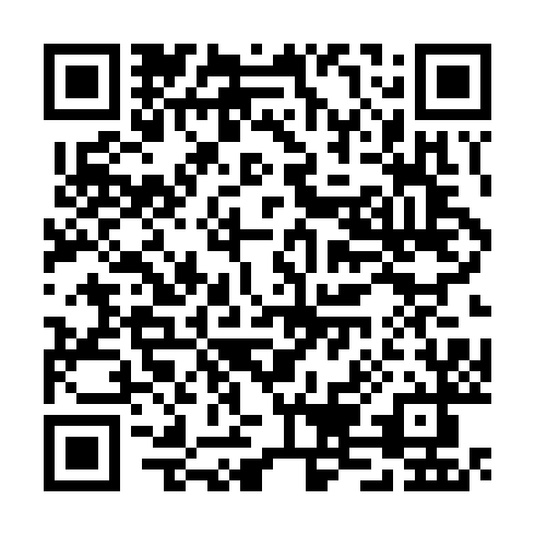 QR code for TLE411
