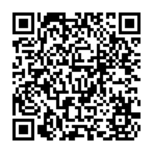 QR code for TLE593