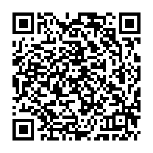 QR code for plate TLI 333