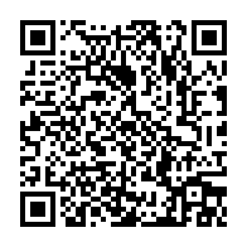 QR code for TLX 393