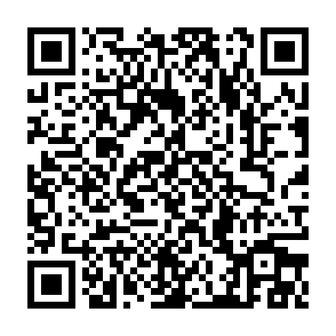QR code for TLZ 493