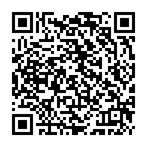 QR code for TML 369
