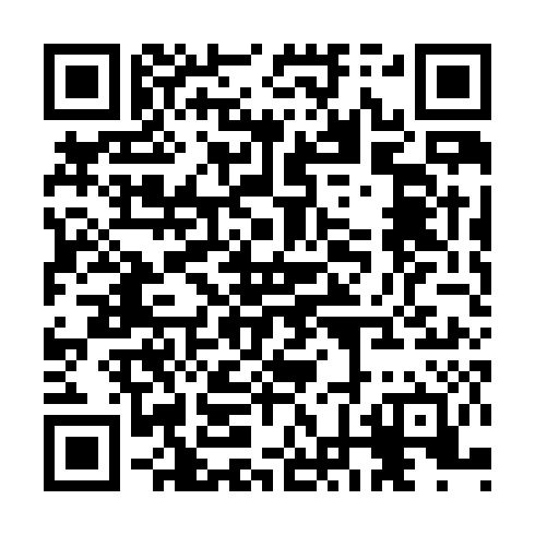 QR code for plate TMN 041