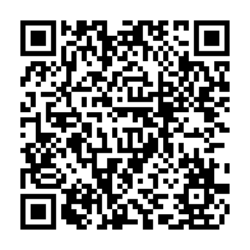 QR code for plate TMX 513