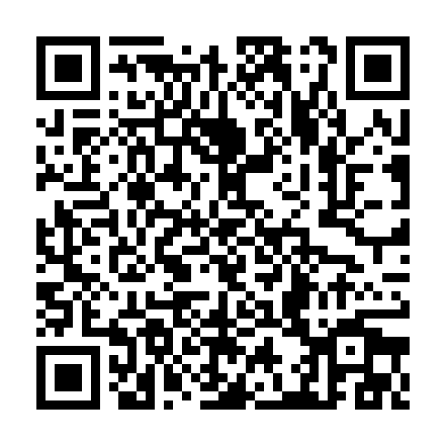 QR code for plate TMZ 595