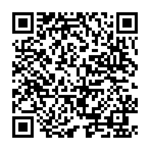 QR code for TNE 919