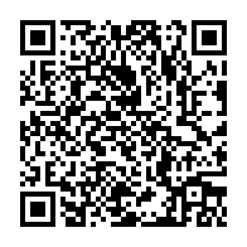 QR code for TNE489