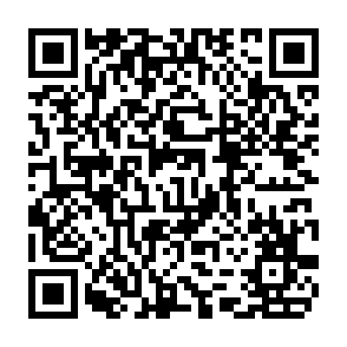 QR code for TNM 339