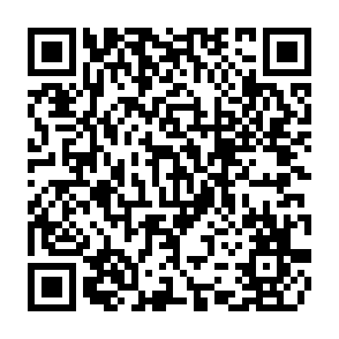 QR code for TNO 541