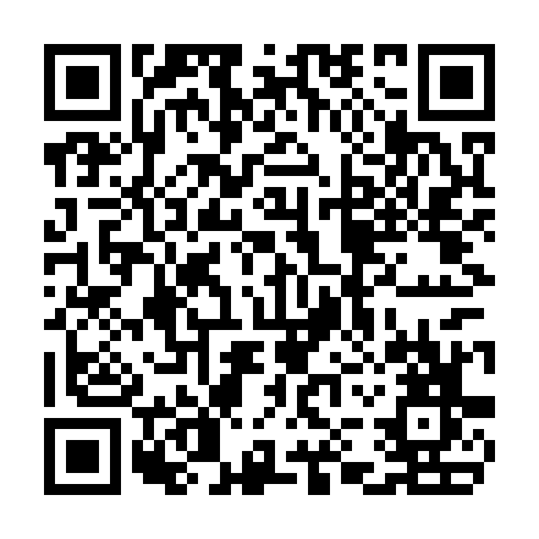 QR code for plate TNP 339