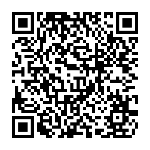 QR code for TNT 313
