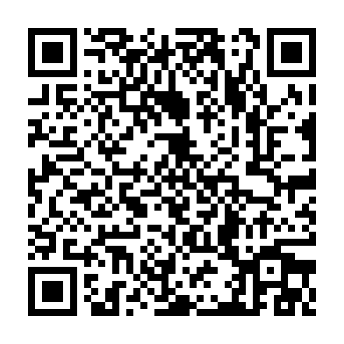 QR code for TOA 991