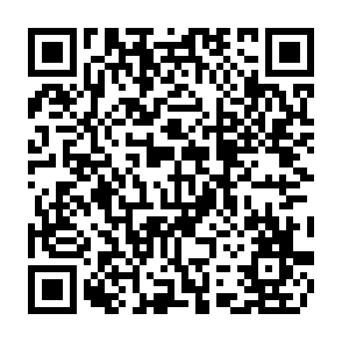 QR code for TOP 311
