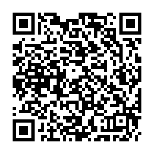QR code for TOX 991