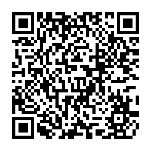 QR code for TOY 449