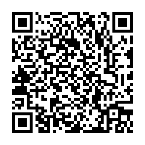 QR code for TPA 383
