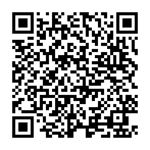 QR code for TPA 613