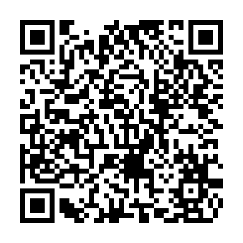 QR code for TPG 383