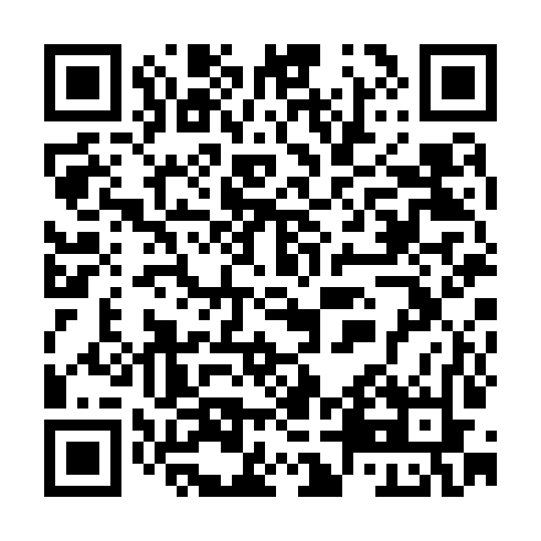 QR code for plate TPG 379