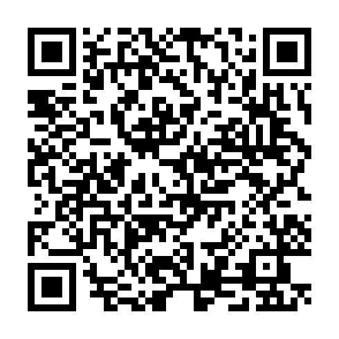 QR code for plate TPG 384