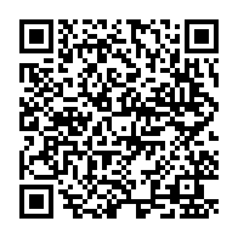 QR code for plate TPG 595