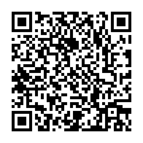 QR code for TPI113