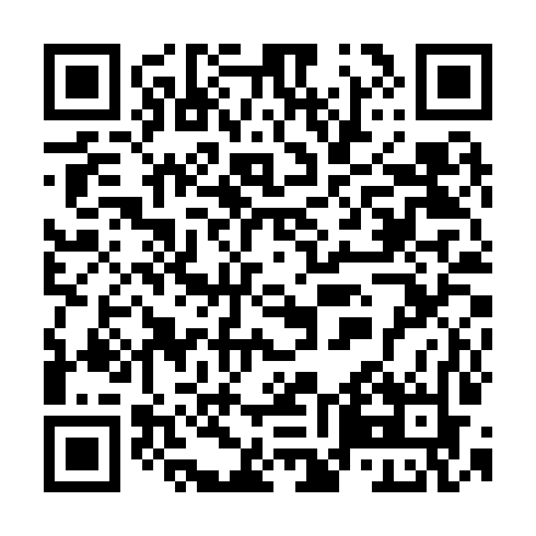 QR code for TPI991