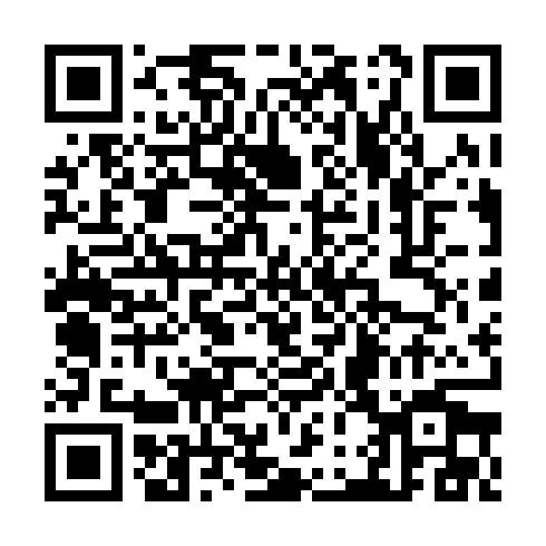 QR code for TPM 291