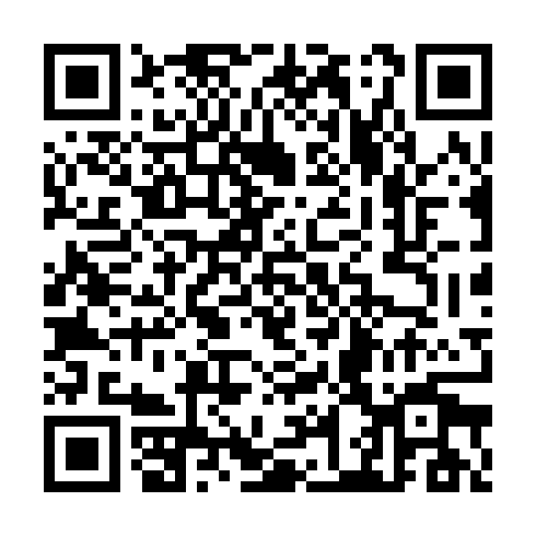 QR code for TPP 313