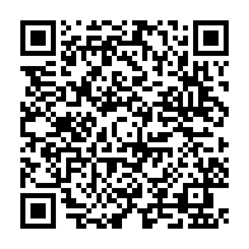 QR code for TPP 919