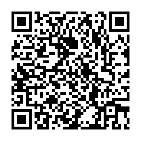 QR code for TPP063