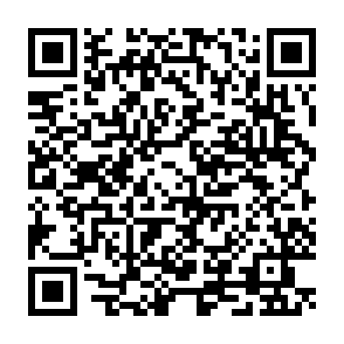 QR code for TPV 382