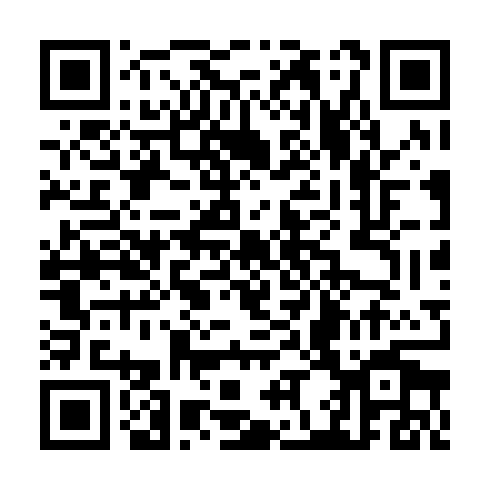 QR code for TPY 383