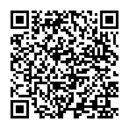 QR code for TQI 991